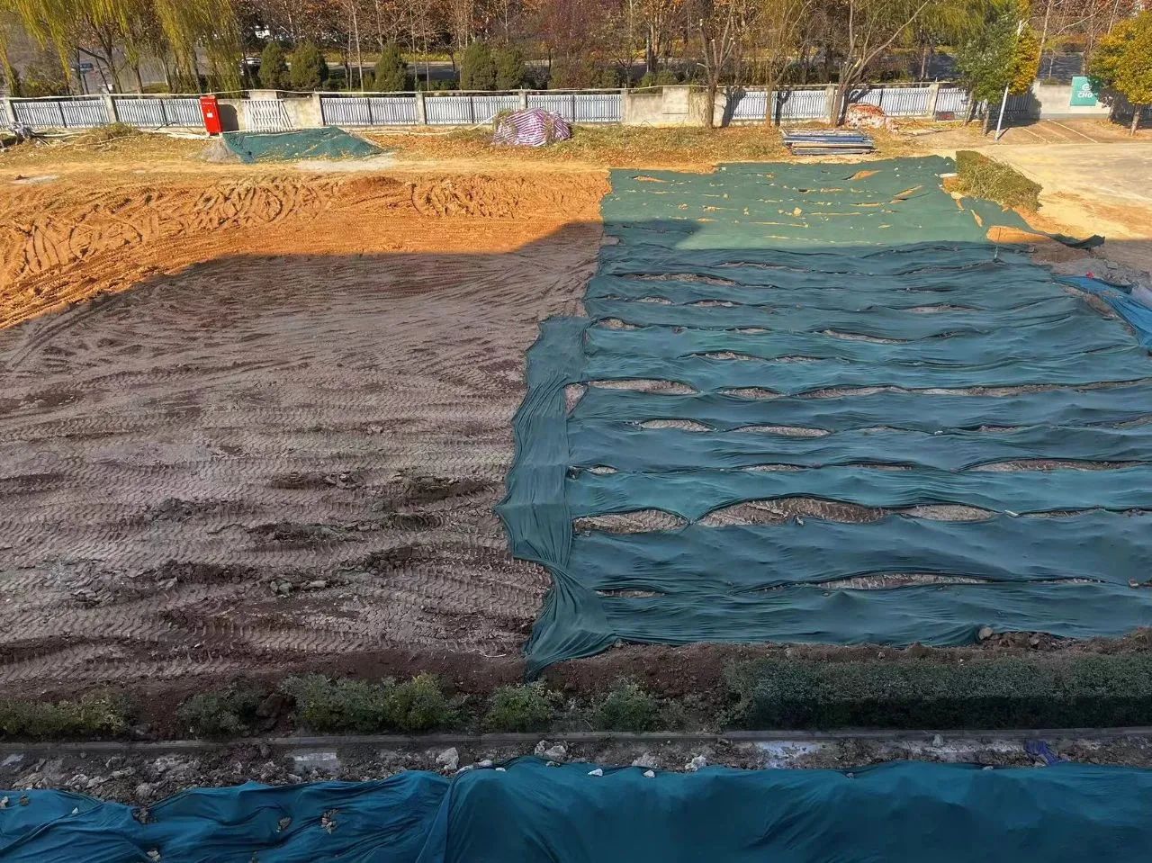 1727576543440.jpg